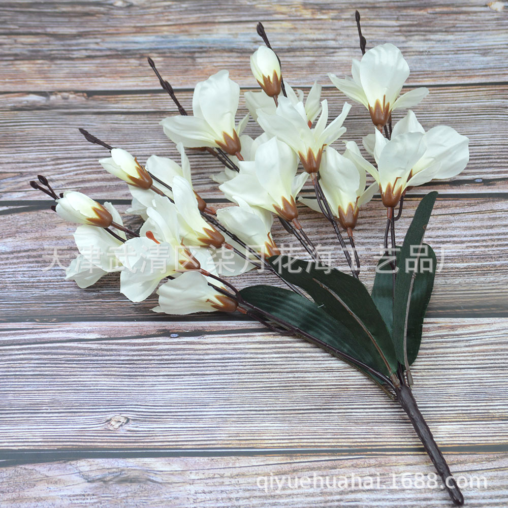 Flor artificial transfronteriza 5-tenedor Magnolia decoración del hogar otoño mango haz Phalaenopsis jardín Greening Taran Comercio exterior flor falsa