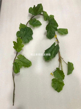 �����Ϲ���1.6��ˮ���컨���피�ֲ���ٗl�Gɫ�~����@�p�@����