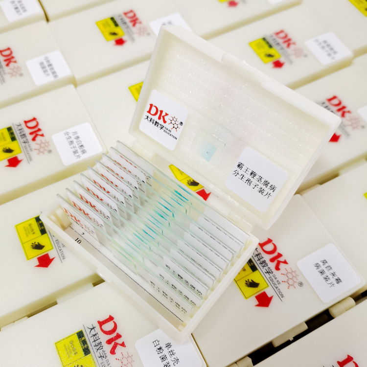 显微生物玻片 植物病理学 农林学 霸王鞭茎腐病分生孢子装片