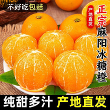 湖南麻阳冰糖橙新鲜水果当季整箱橙子年货果冻9市场现摘