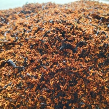 5���¼t�����o���~���½��������ɽ��