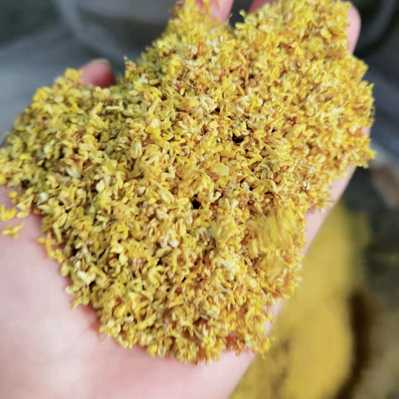 Оптовая продажа 2024 новых товаров Гуанси Гуйлинь золотой османтуса сухой османтуса чай османтуса натуральный аромат