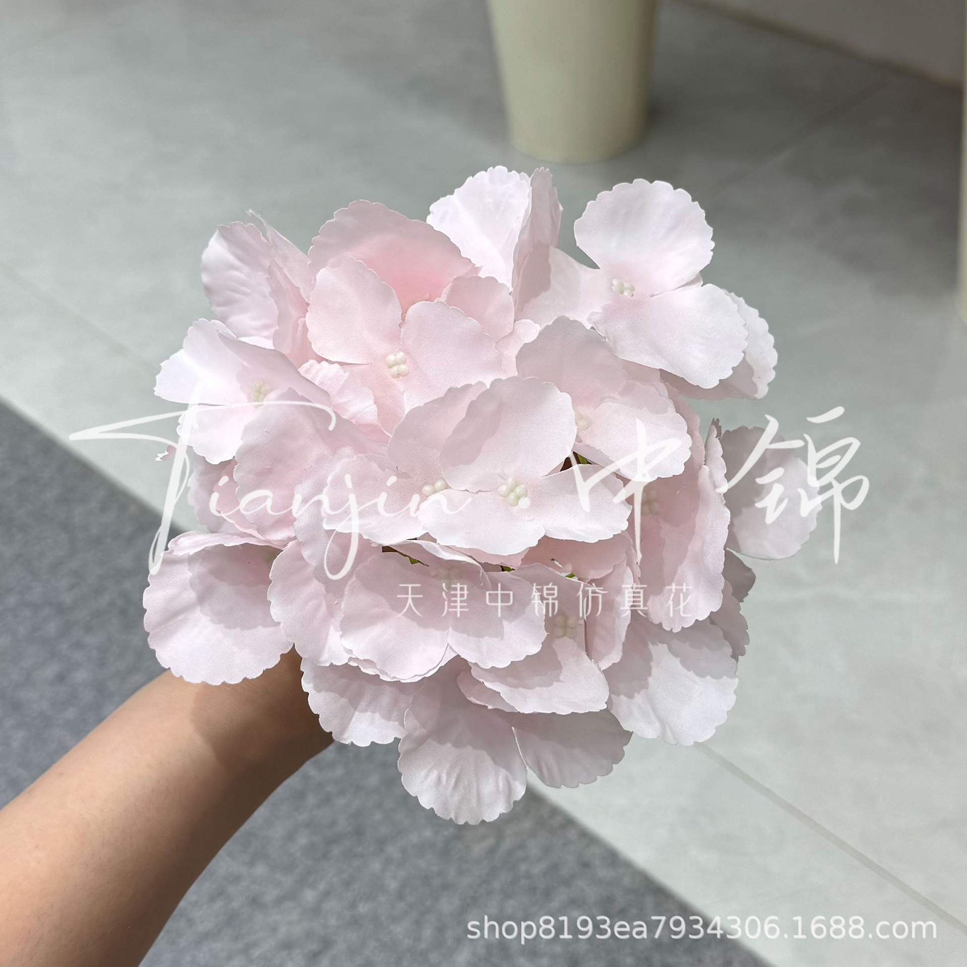 연분홍빛 꽃머리