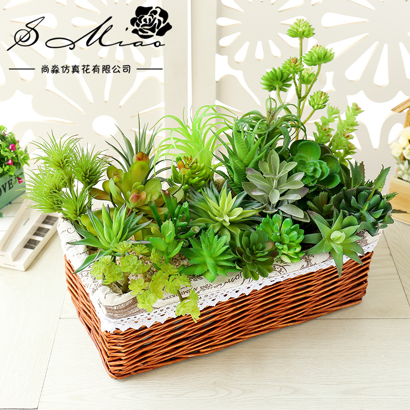 Creative DIY Simulation Succulent Design Supplies Flower Arrangement Accessories Jinhuang Manufacturer Simulation Plants One-time Shipping Cross-border