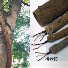 樹上干樹枝電線公園枯木仿藤條裝飾管仿樹皮戶外空心樹藤穿線管