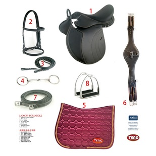Saddle Teng Brand Comprehensive Saddle British Equestrian Equipment Stainless Steel Accessories