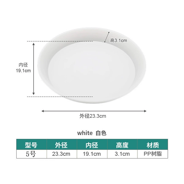 No. 5 white