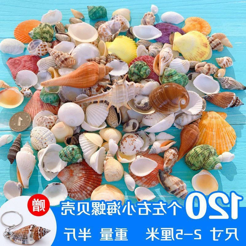 Aquarium decor, materials set for swimming, starfish