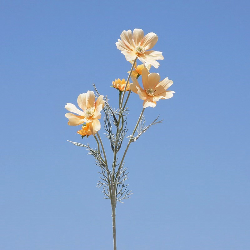 Light orange 1125#