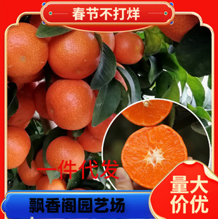 �������lɰ�ǽ��������o��ɰ������ɳ�ǽ��������箔��Y��