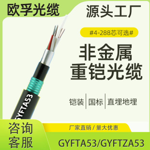 �W�ڷǽ��ٹ��|gyfta53/gyftza53-36b1ֱ�������z�b���w