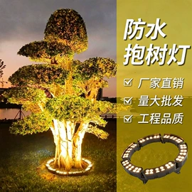 庭院灯;室外壁灯;洗墙灯