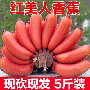 ������������t�����㽶�tƤ�㽶��Ƥ���˽��������rˮ�����]����
