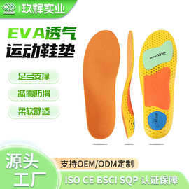 男女运动鞋垫足弓支撑篮球跑步吸汗透气高弹缓震防滑EVA减震透气
