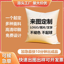 来图定制印logo尺寸异形绒面照片卡通企业商务礼品小批量抱枕定制