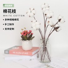 ��Ȼ�ޚ�����������ľ�޻��F�U�޻��ɻ����l