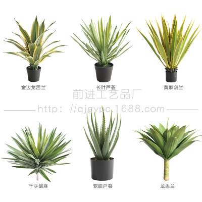仿真芦荟龙舌兰剑麻沙生植物小棵绿植家居门店造景堆景装饰摆件|ms