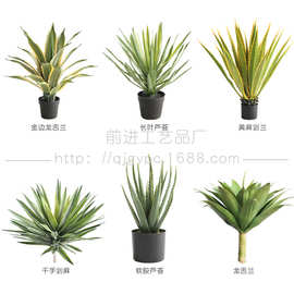 仿真芦荟龙舌兰剑麻沙生植物小棵绿植家居门店造景堆景装饰摆件