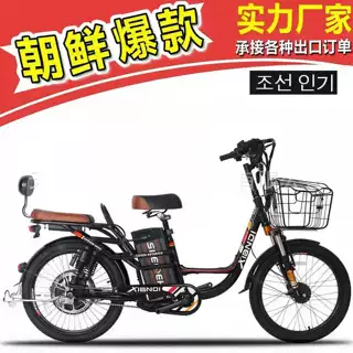 出口工厂22寸24寸朝鲜依兰公主雅驰 电动车 电瓶车电动自行车中东
