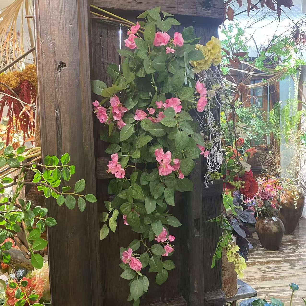 微信图片_20250103132335