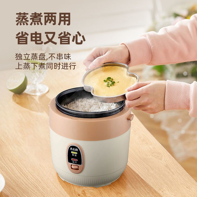 Mini Rice Cooker for One Person, Multifunctional for 1 to 2 People, Suitable for Steaming and Cooking Rice, Small Rice Cooker for Student Dormitory