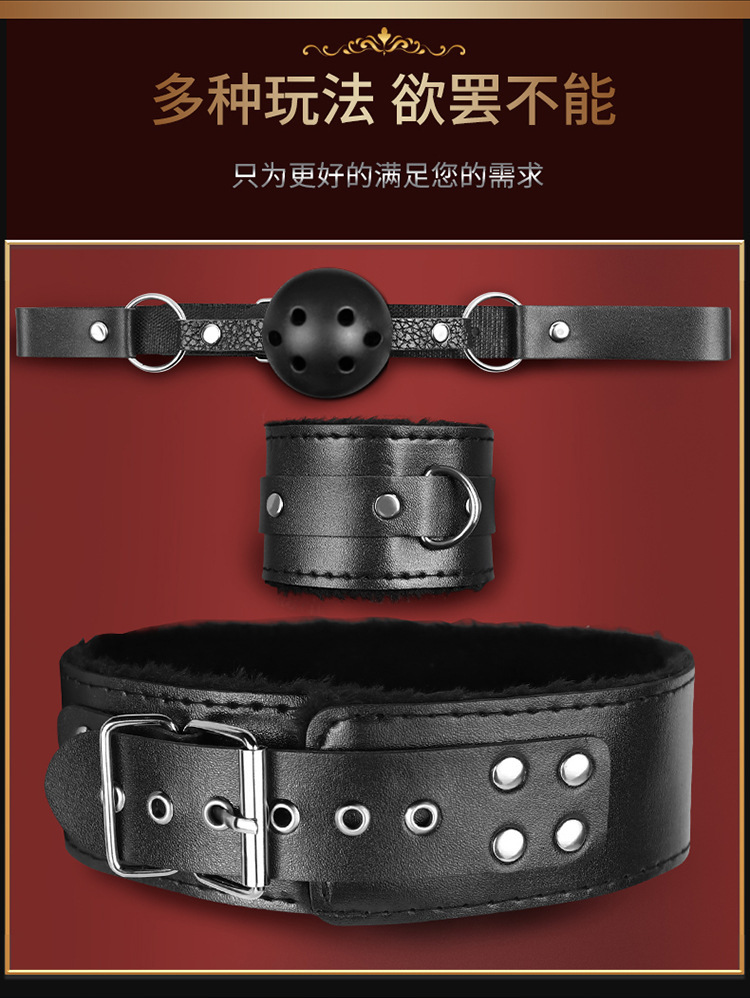 Jiuai SM 12-Piece Bondage Set with Handcuffs, Nipple Clamps and Mouth Ball — detail image 4