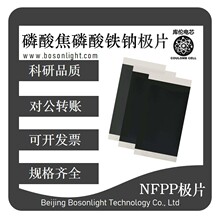 �삐�о �c�x��늳����O ����x��NFPP-S05�OƬ ����10���ܶ�