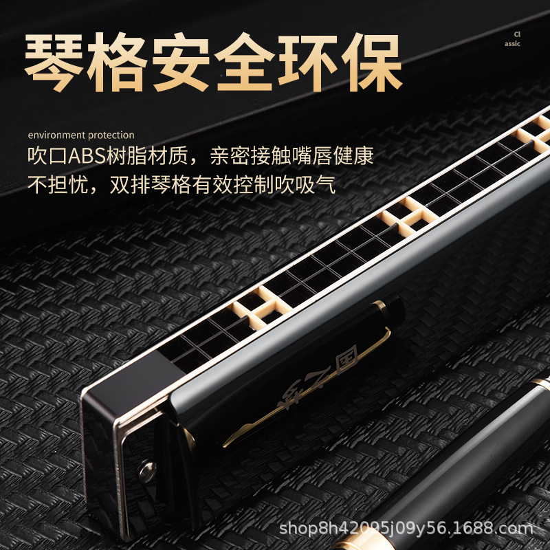 GUOGUANG HARMONICA 24 홀 폴리포니 C 키 초보자 학생 어린이 자율 학습 장기 악기 소개