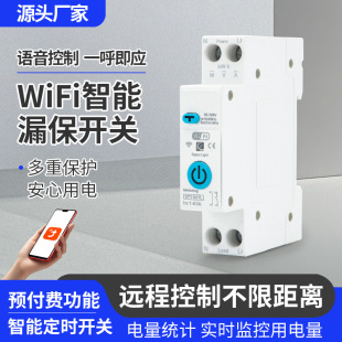Graffiti Smart WiFi Leakage Protection Switch Circuit Breaker wifi Empty Mobile Phone Remote Control Wireless Timing Switch