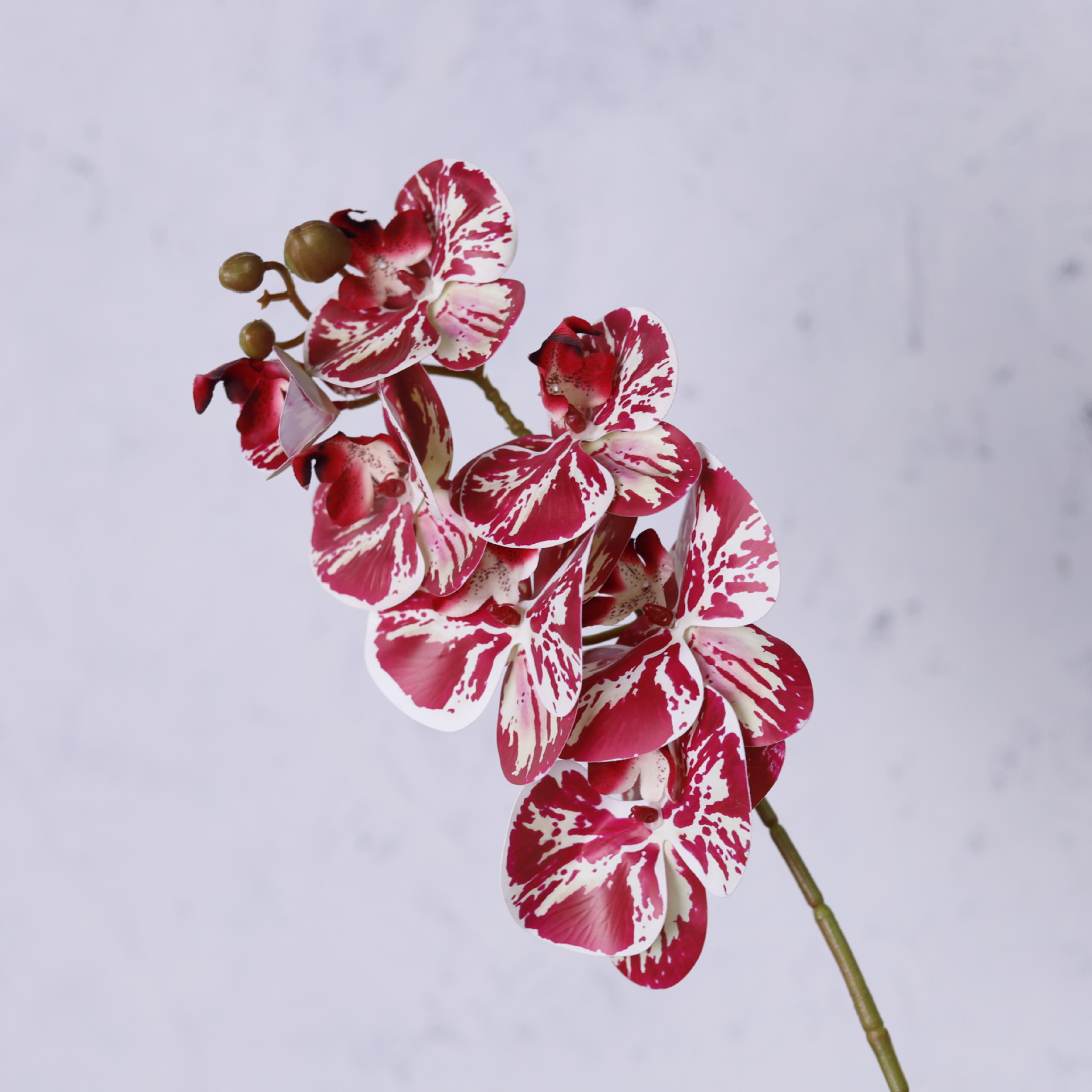 Impresión 3D de 7 cabezas de orquídeas mariposa flor de decoración de flores de alto nivel flor de nicho decoración floral decoración de sala de estar