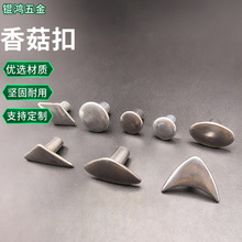 ���ЬĢ����ݽz�������݆�������T��㹽���Ӄ�ͯ����ֱ���T�