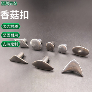 ���ЬĢ����ݽz�������݆�������T��㹽���Ӄ�ͯ����ֱ���T�