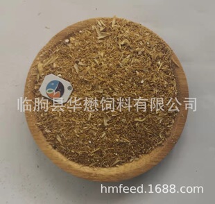 �׾��� ���{ơ���� ���ơ���� �S���� ơ�ƽ�ĸ��  ؛Դ����