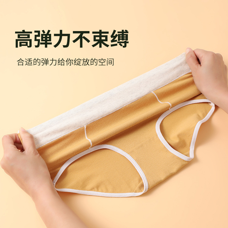 夏季新款纯棉内裤女中腰大码女士三角裤透气提臀短裤头工厂代发|undefined