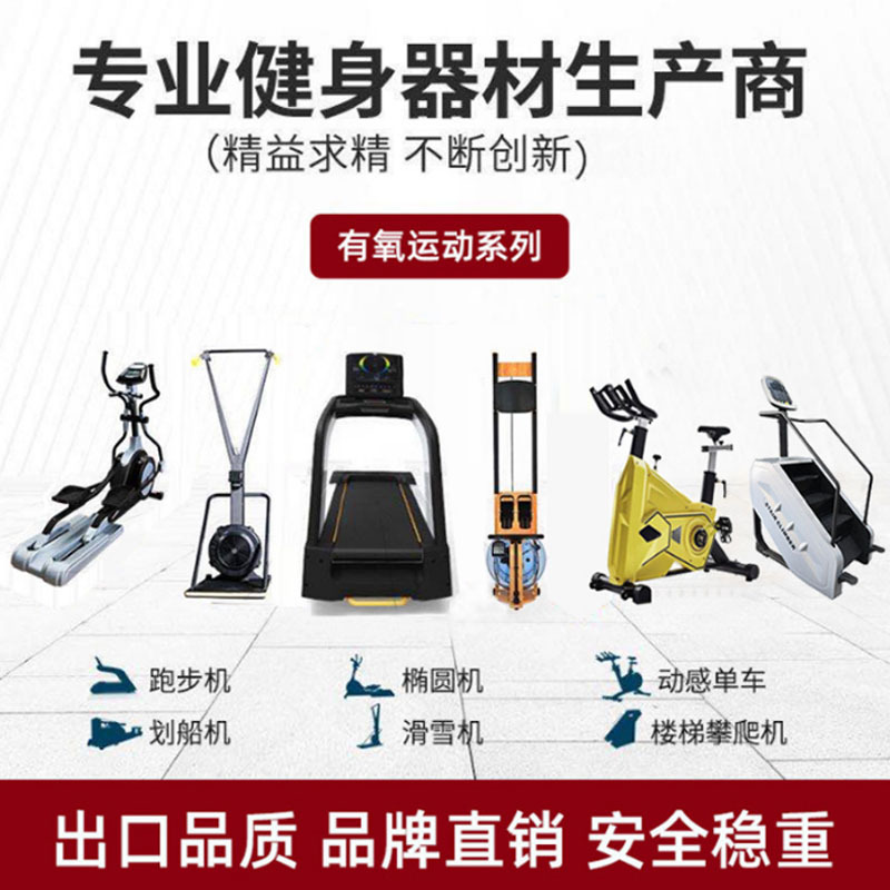 Máquina elíptica pequeña máquina de ejercicio silenciosa carrera dinámica bicicleta deportiva reluctancia caminante