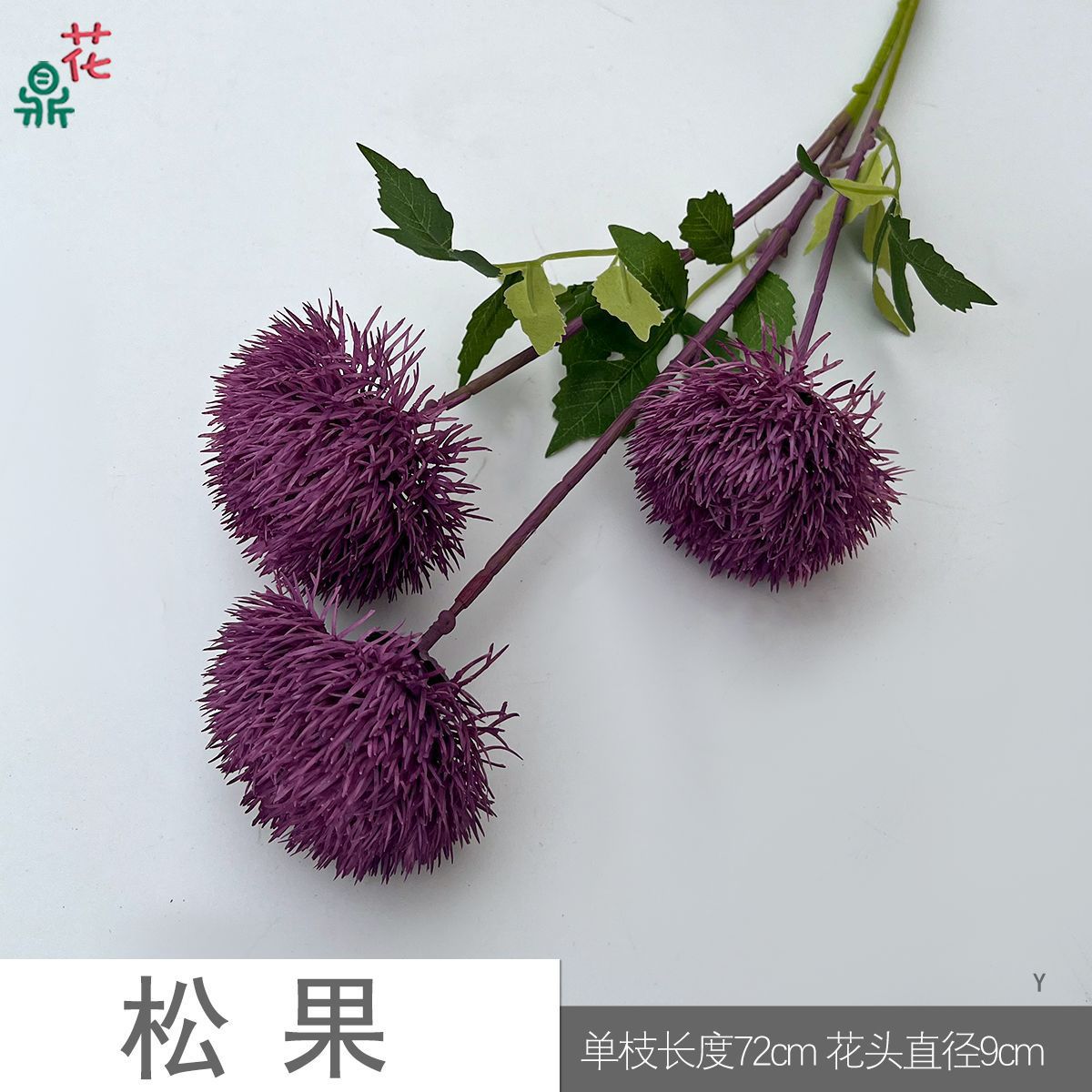 솔방울 Y 보라색