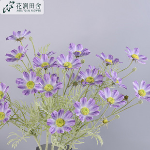 ���滨��˹�� ��@��ɣ�� �ҾӾƵ�͏dܛ�b��̻�c�[���پջ�