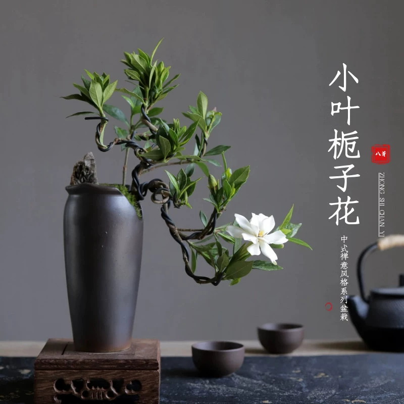 Плавающая ветка гардении, бонсай в форме скалы, в горшке, в помещении, гостиная, кабинет, четырехсезонные цветы и зеленые растения, балкон, ароматный старый пень