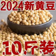 24��|���ܰl��ѿ���S��ɢ�b�l�S��ѿ���ö�������������С�S���o