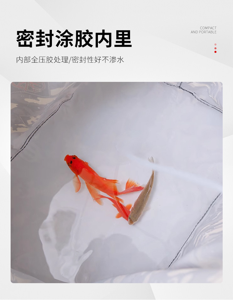活鱼包1_06.jpg