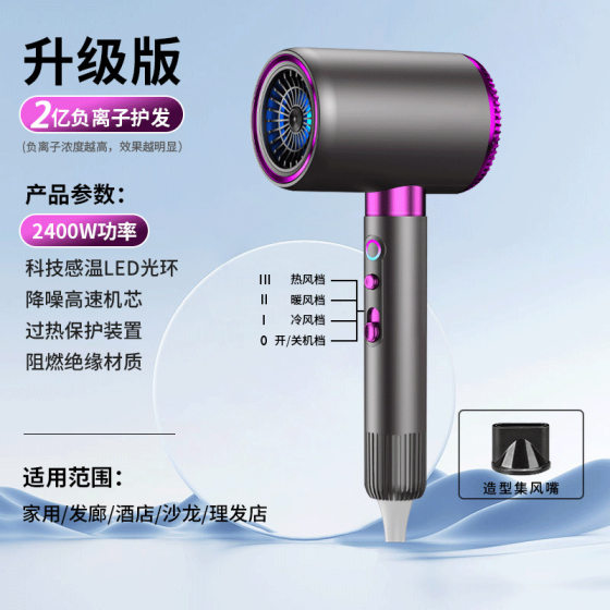 Cross-border hair dryer household dormitory cold and hot air negative ion net red high-power hair salon electric hair dryer factory wholesale