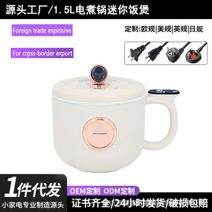 Cross-Border Mini Rice Cooker, Electric Cooking Pot, Multi-Function All-In-One Pot, Student Dormitory Noodle Cooking Small Electric Pot, Household Electric Hot Pot