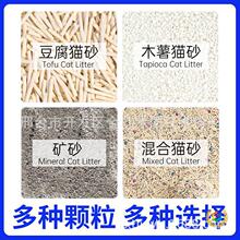 �ᶹ��؈ɰľ��؈ɰ�Vɰ���ɰ���l�����͉m���o�m���Sֱ�l����
