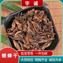 蟋蟀干中药材蛐蛐夜鸣虫秋虫将军干五谷虫鸟食