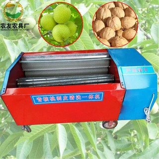双滚筒核桃去皮机 青核桃扒皮机 山西运城商用核桃清洗机脱皮干净