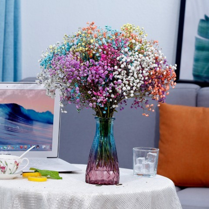 꽃병 없이 화려한 색상