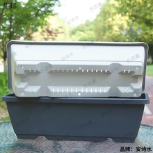 种菜盆长方形小葱蒜苗种植长条青菜盆景养花辣椒苗盆家用兰花塑料