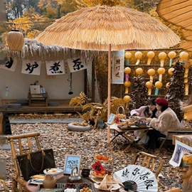 雨伞;晴雨伞;沙滩伞