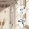Electroplated plum blossom handle shower set (high standard configuration)