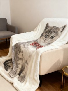 ���Q���β�����lֱ�� 210&times;160cmС����-��ë̺